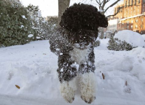 slide_4138_57850_large