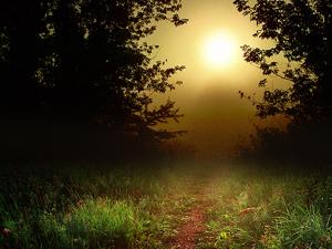 ENVIRONMENT: Climate Zombies