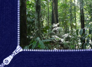 Victory … by Robin Averbeck, Rainforest Action Network