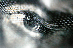 May is Healthy Vision Month