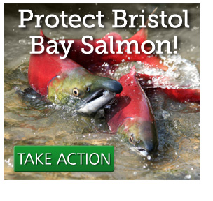 Protect Bristol Bay … Please sign the Petition