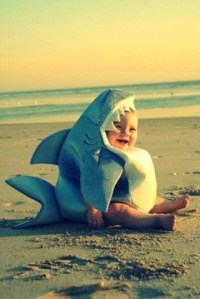 Sharkbaby