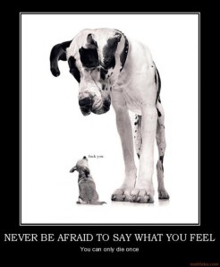 never-be-afraid-to-say-what-you-feel-never-be-afraid-to-say-demotivational-poster-1232488528